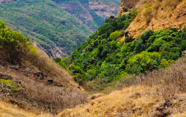 Dev Ghats Trail