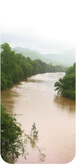 Water Bodies