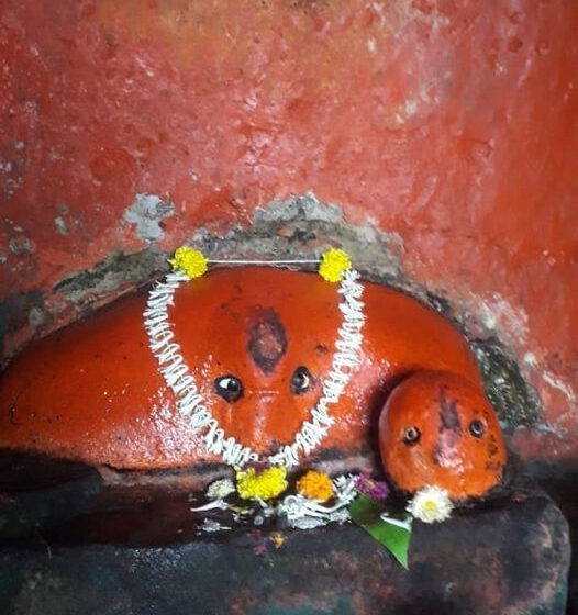 Taljai Mata (Tikona Fort)
