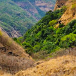 Dev Ghats Trail